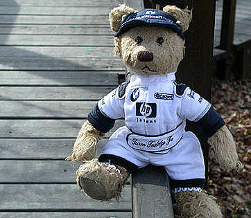 Formula one driving dress for Teddy Bears