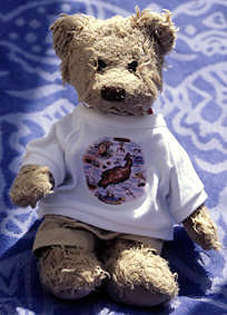 Teddy Bear in Lanzarote tourist T-shirt