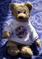 Teddy bear in tourist T-shirt