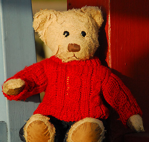 Cute Teddy bear in a red nice knitted sweater.