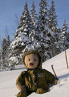 Teddy Bear ski jacket, Greggan loves it!