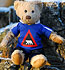 Svalbard Teddy Bear T-shirt