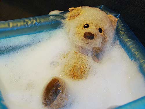 Teddy bear taking a x-mas bath