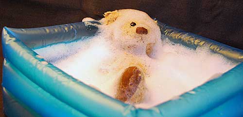Teddy bear relaxing in a foam bath tub