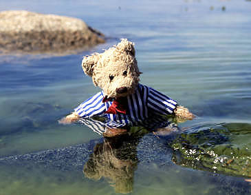 Teddy bear having a bath in the sea