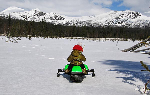 Motorized teddy bears