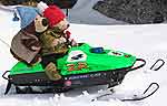 Teddy bears driving a snowmobile!