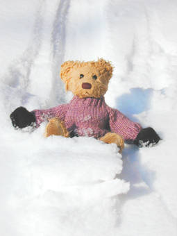 Teddy Bears sliding down the snow slope