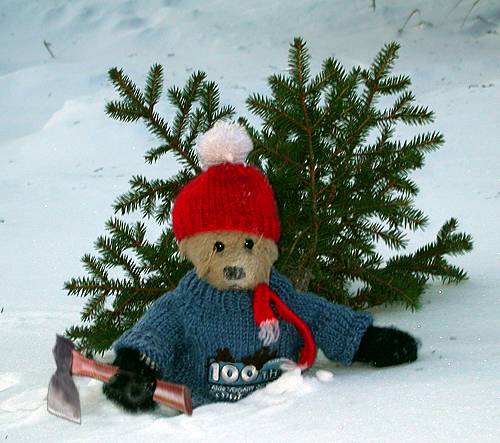 Teddy Bears cuting a tree for Christmas