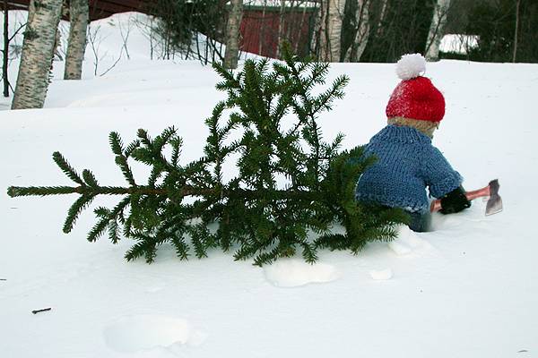 Teddy Bears getting ready for Christmas