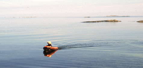 Teddy Bear Boating