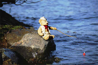 Teddy Bear fishing salmon
