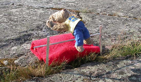 Gregory Bear doing high jump at the olympics