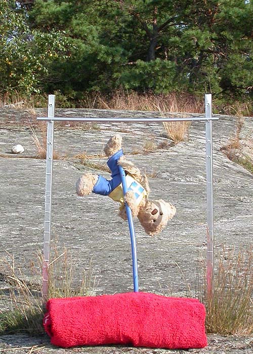 Olympics Pole-Vaulting for Teddy bears