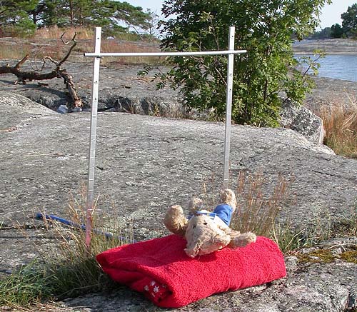 Olympic Teddy Bear pole-vaulting