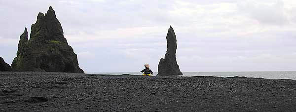 Teddy BEar by the sea (Iceland)