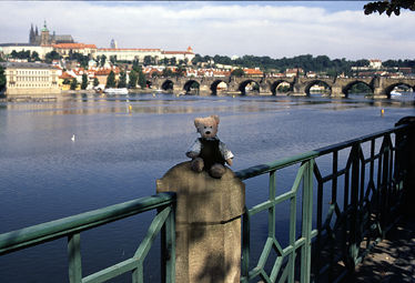 Gregory Bear by the riverside in Prauge