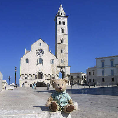 Gregory bear visiting Trani of Italy