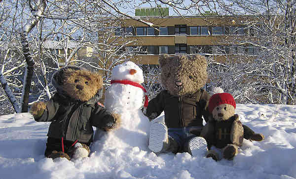 Teddy bears and snowman